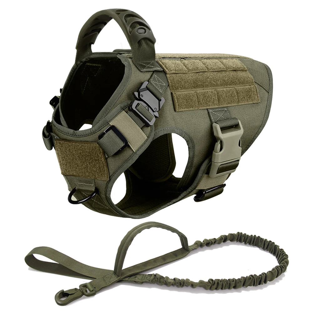 Collar, Harness and Leash Set for Dogs (various sets, many sizes)