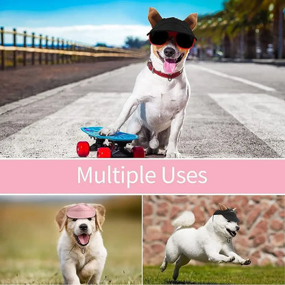 Adjustable Pet Baseball Cap with Ear Holes