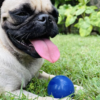 Super Chewer: Durable Rubber Fetch Ball
