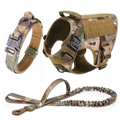 Collar, Harness and Leash Set for Dogs (various sets, many sizes)