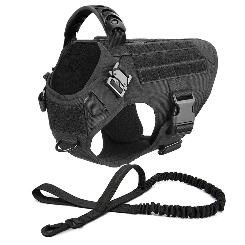Collar, Harness and Leash Set for Dogs (various sets, many sizes)