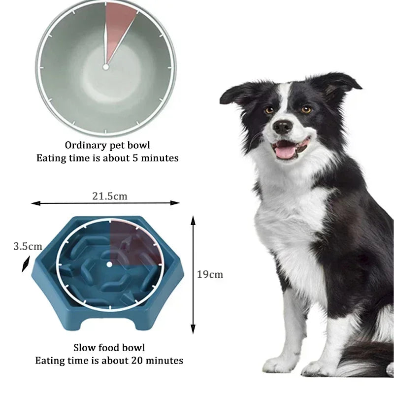 Small/Medium Dog & Cat Slow Feed Bowl