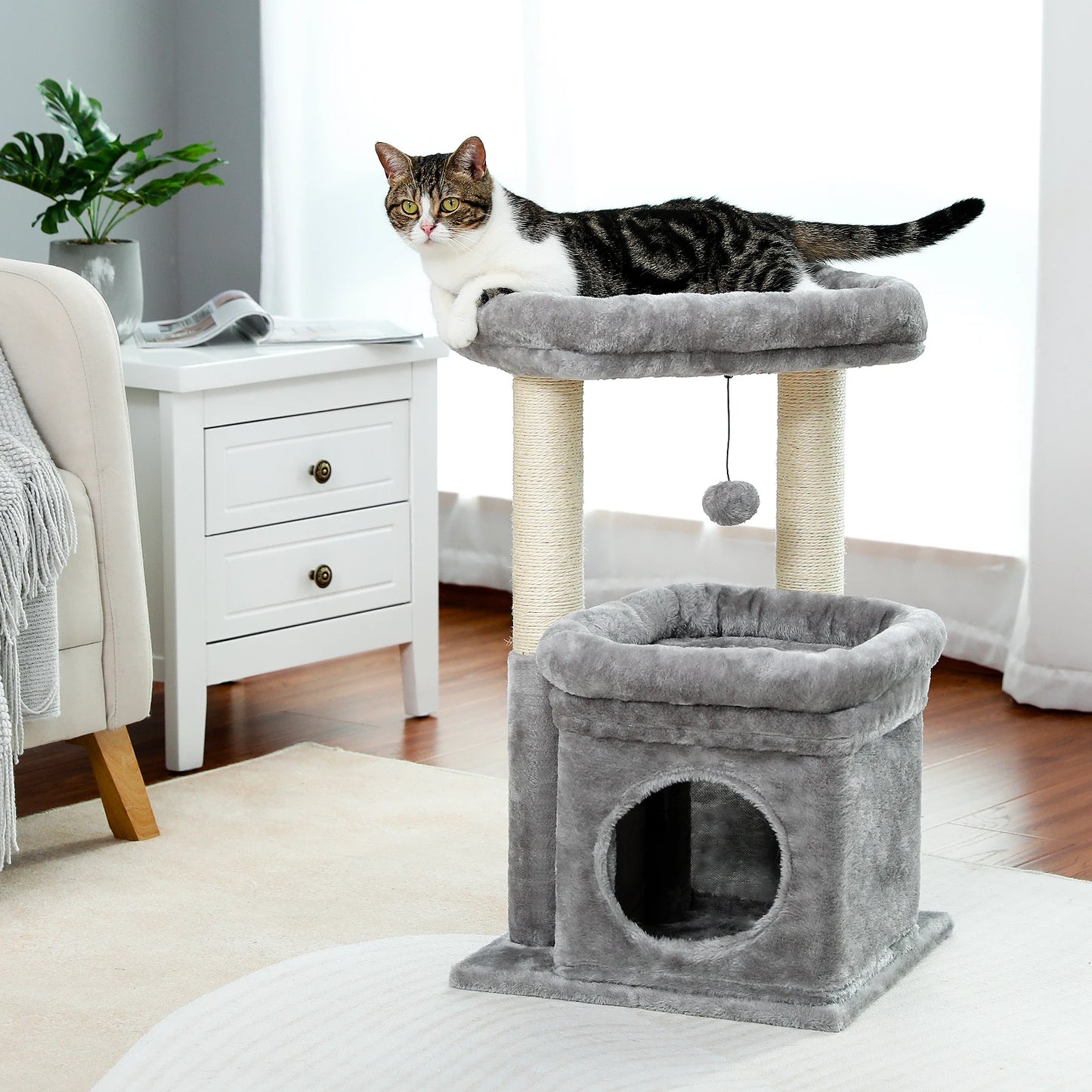 Short Cat Tower with Cozy Cat Condo and Natural Scratching Posts