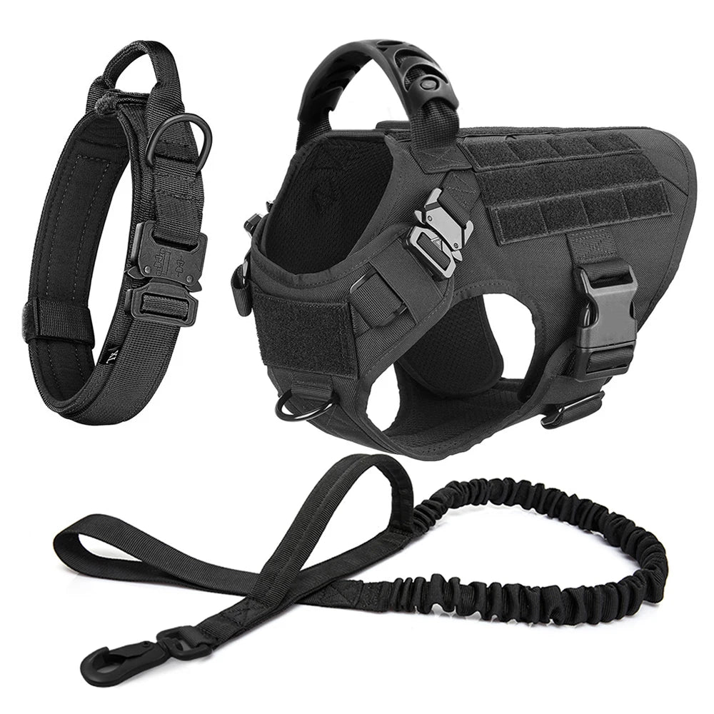 Collar, Harness and Leash Set for Dogs (various sets, many sizes)