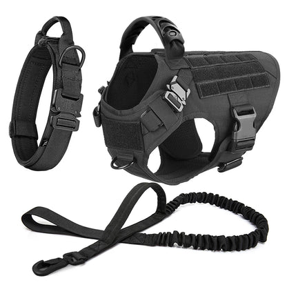Collar, Harness and Leash Set for Dogs (various sets, many sizes)