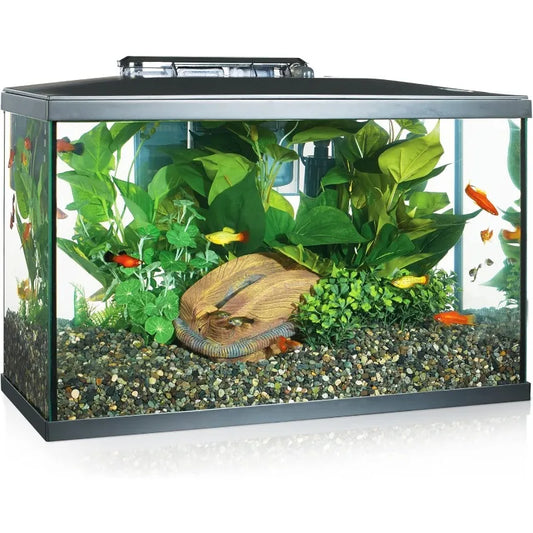 Aquarium Kit, 10 Gallon, LED Lighting