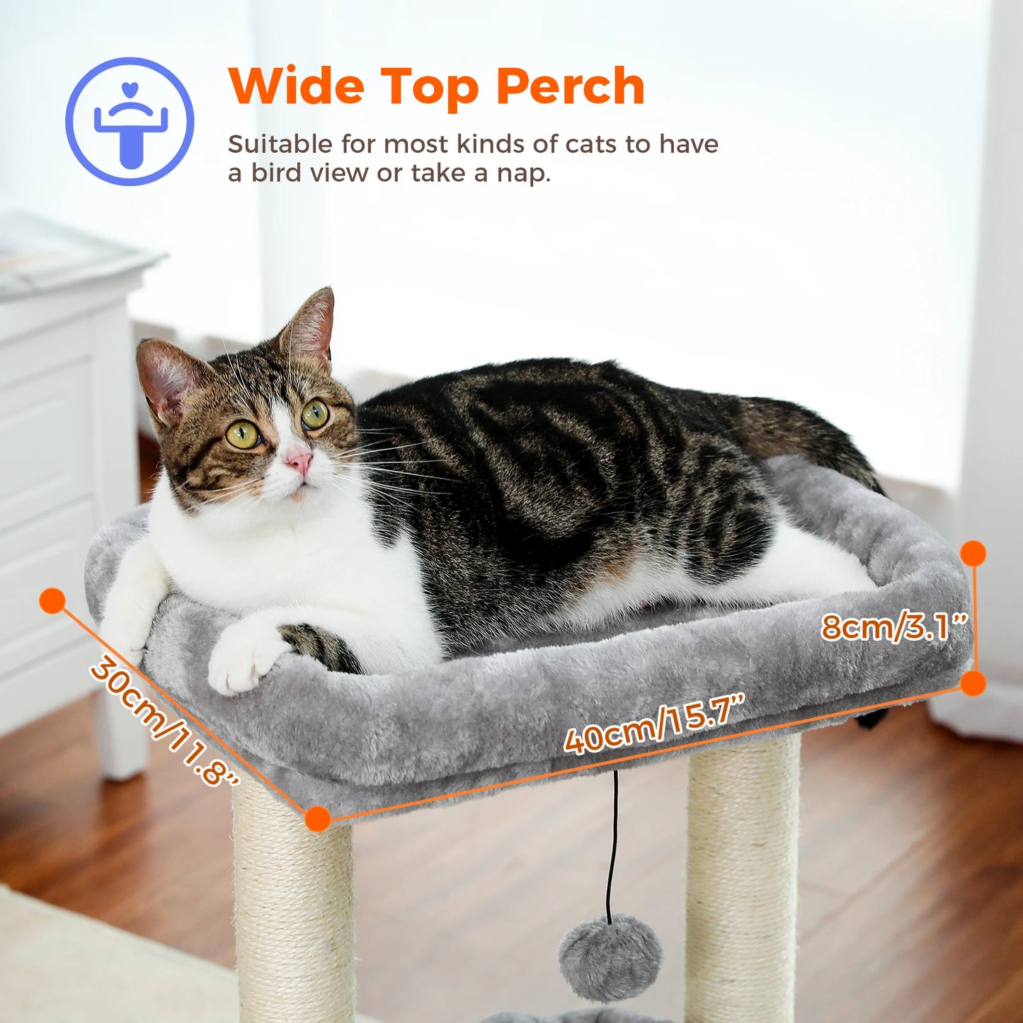 Short Cat Tower with Cozy Cat Condo and Natural Scratching Posts