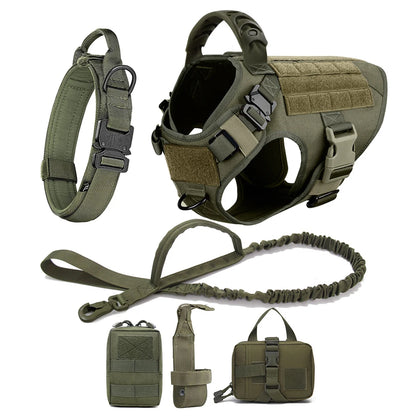 Collar, Harness and Leash Set for Dogs (various sets, many sizes)