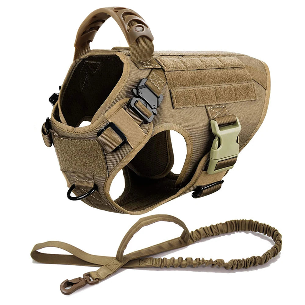Collar, Harness and Leash Set for Dogs (various sets, many sizes)