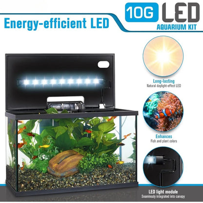 Aquarium Kit, 10 Gallon, LED Lighting