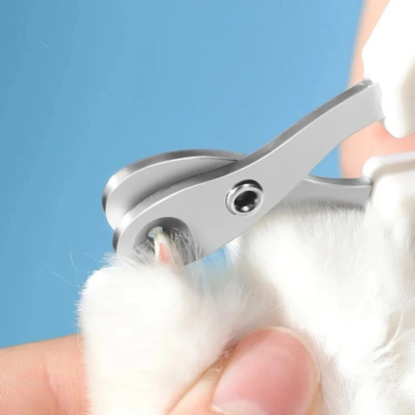 Stainless Steel Nail Trimmers for Cats/Small Dogs