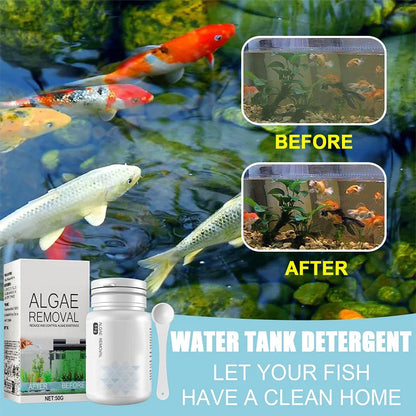 Fast-Acting Algae Control - Removes Green Algae in Fish Tanks