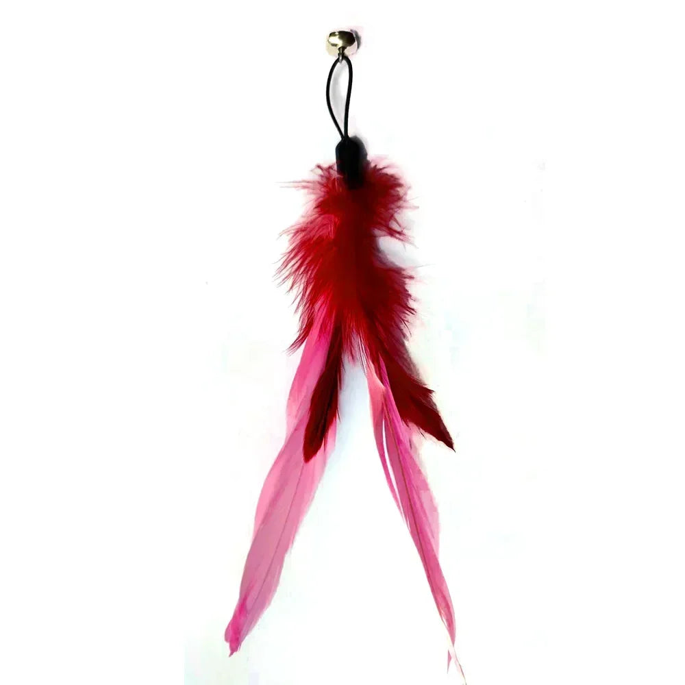 Interactive Cat Wand Toy with Bell & Feather Heads