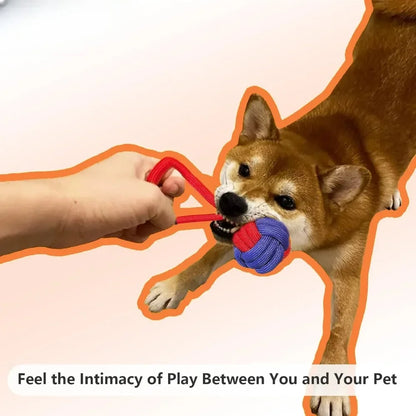 Durable Rope Dog Toy for Aggressive Chewers