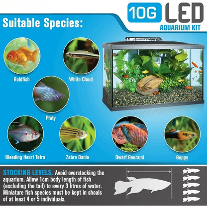 Aquarium Kit, 10 Gallon, LED Lighting