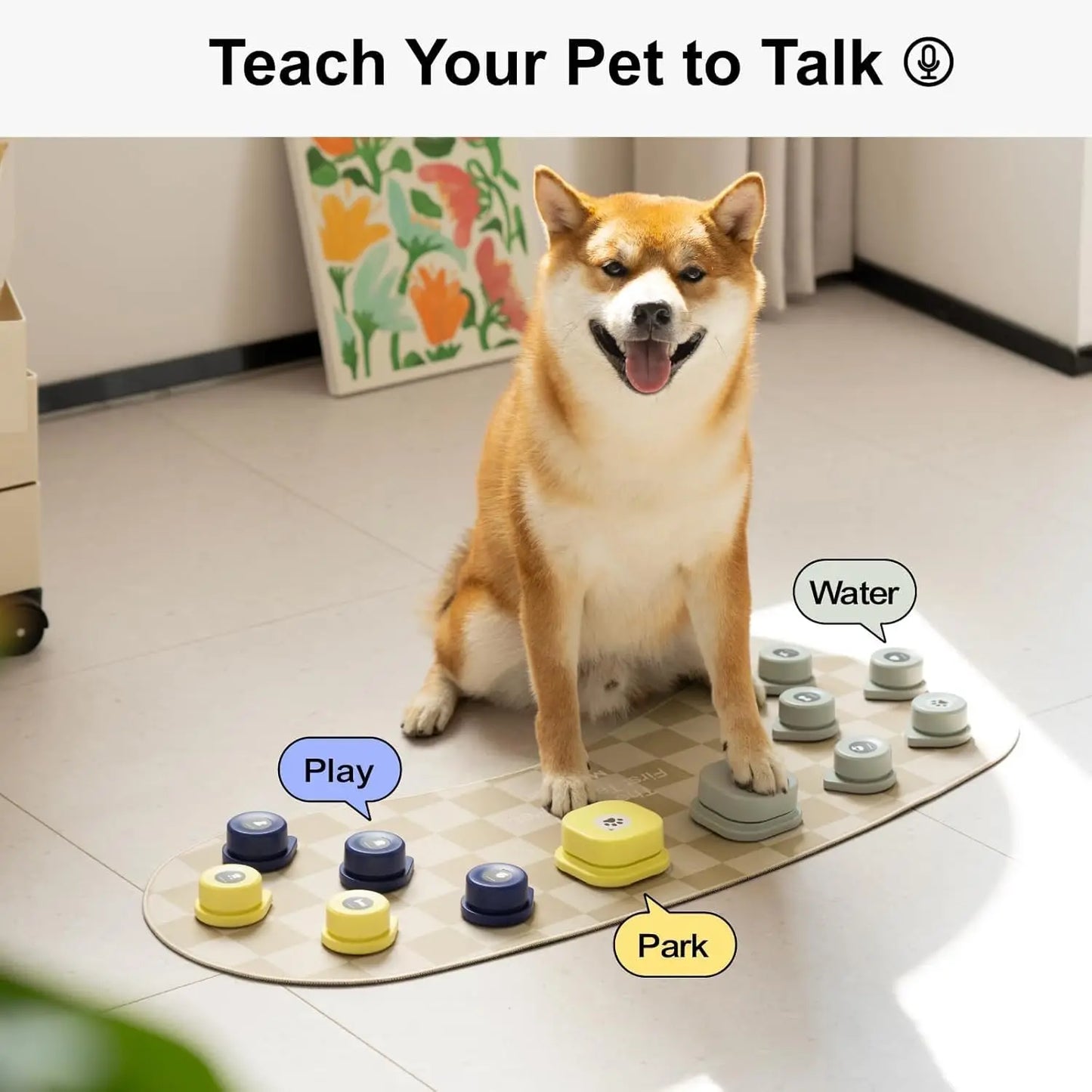 Rechargeable Dog/Cat Talking Buttons with Mat (Multi-Packs)