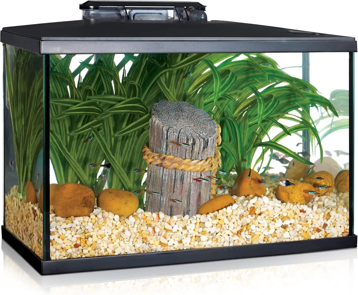 Aquarium Kit, 10 Gallon, LED Lighting