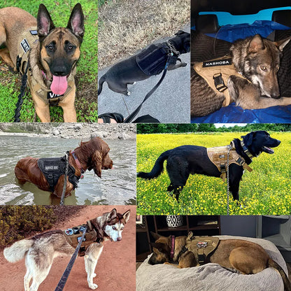 Collar, Harness and Leash Set for Dogs (various sets, many sizes)