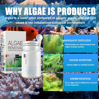 Fast-Acting Algae Control - Removes Green Algae in Fish Tanks