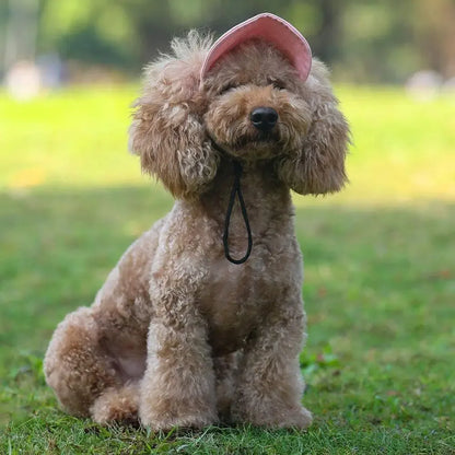 Adjustable Pet Baseball Cap with Ear Holes