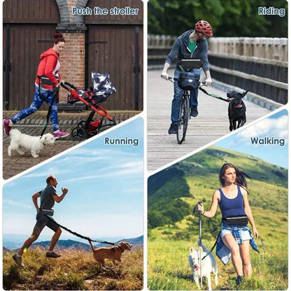 Reflective Hands-Free Dog Leash with Waist Bag