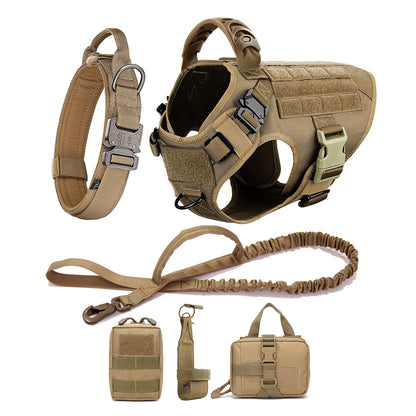 Collar, Harness and Leash Set for Dogs (various sets, many sizes)