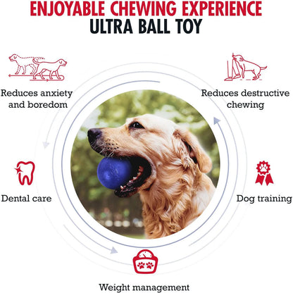Super Chewer: Durable Rubber Fetch Ball