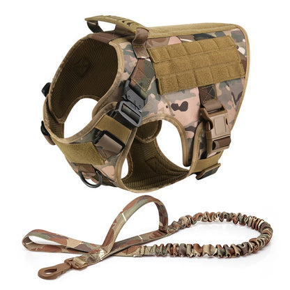 Collar, Harness and Leash Set for Dogs (various sets, many sizes)