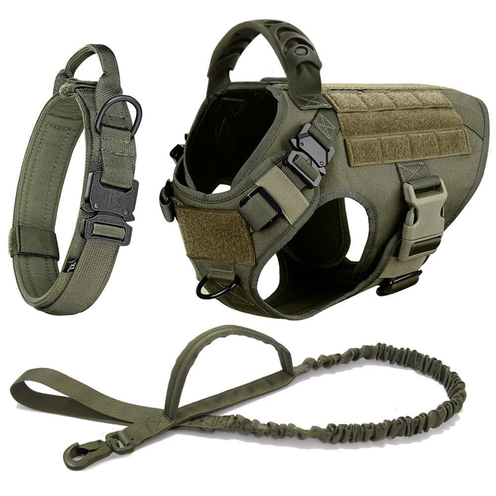 Collar, Harness and Leash Set for Dogs (various sets, many sizes)